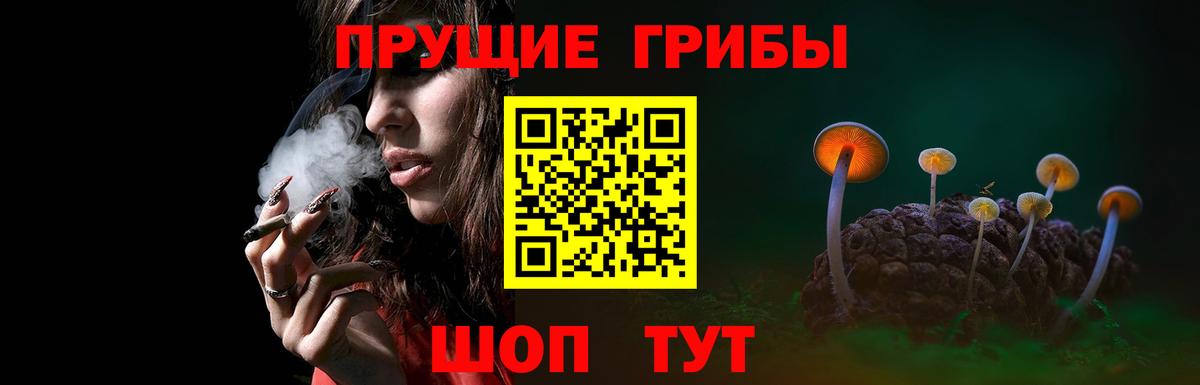 Псилоцибиновые грибы Psilocybe  Вход с VPN  Дедовск  Галлюциногенные грибы Magic Shrooms 